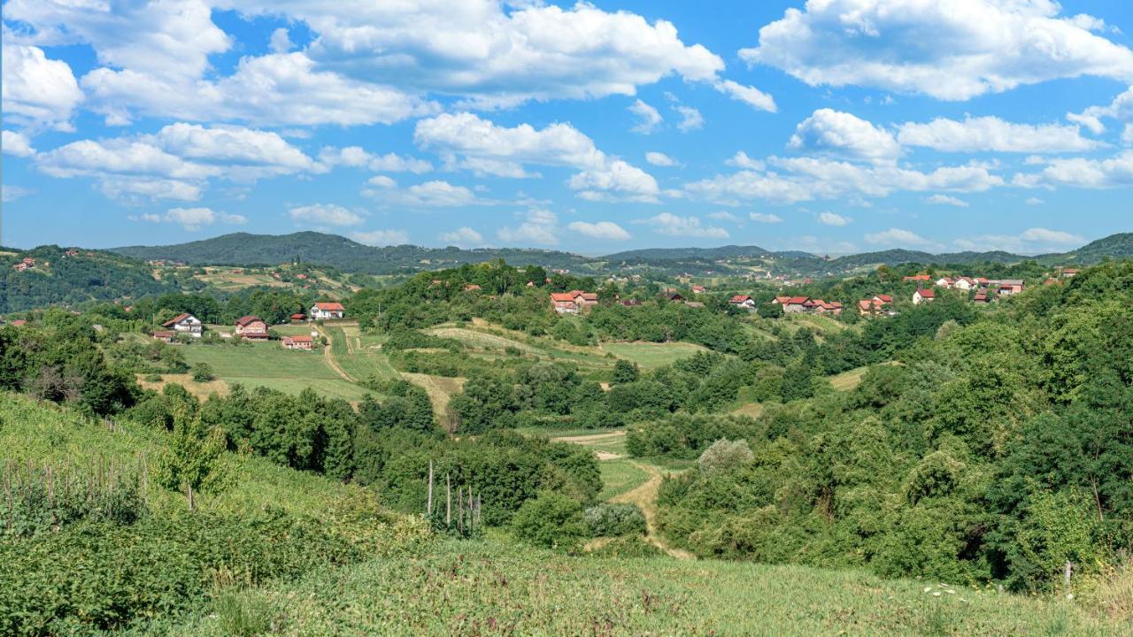 Donja Stubica Kuca Za Odmor Rukova Hiza 빌라 외부 사진